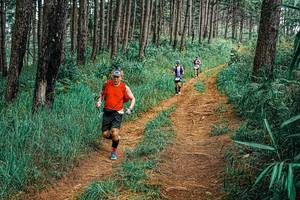 BIB: 
                            <button type="button" onclick="openModal(25714406)" class="btn btn-primary btn-sm float-right btn-popup" data-toggle="modal" data-target=".modal-high-quality">
                        <i class="fas fa-shopping-cart"></i> Add to Cart
                    </button>
                                            <button type="button" onclick="isThisMe(25714406, true)" class="btn btn-success btn-sm float-right btn-popup btn-isme hidden" data-toggle="tooltip" data-placement="bottom" title="นี่คือรูปของคุณใช่ไหม คลิกที่นี่เพื่อเอาเข้าอัลบั้ม">
                        <i class="fas fa-plus"></i> Add to album
                    </button>
                    <button type="button" onclick="isThisMe(25714406, false)" class="btn btn-warning btn-sm float-right btn-popup btn-isnotme hidden">
                        <i class="fas fa-ban"></i> Remove from album
                    </button>